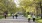 People walking up and down a street lined with trees